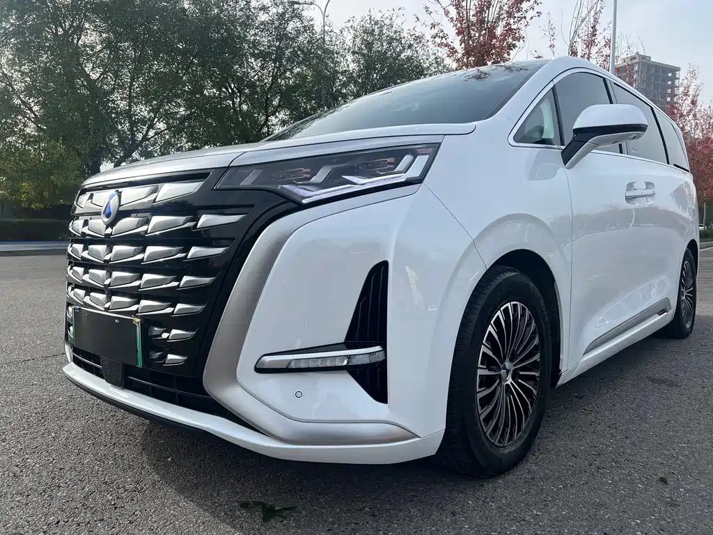 Denza Denza D9 — миниатюра 4