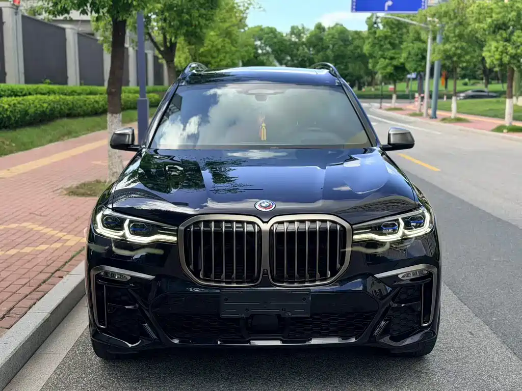 BMW X7 — миниатюра 2