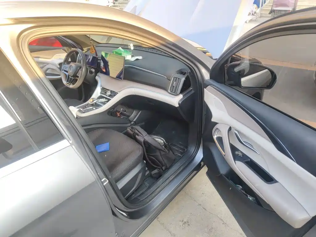 BYD Pro New Energy — миниатюра 18