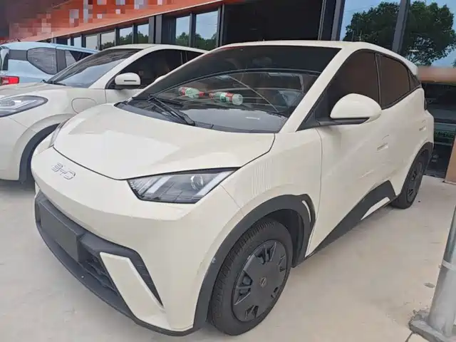 2024 BYD Seagull