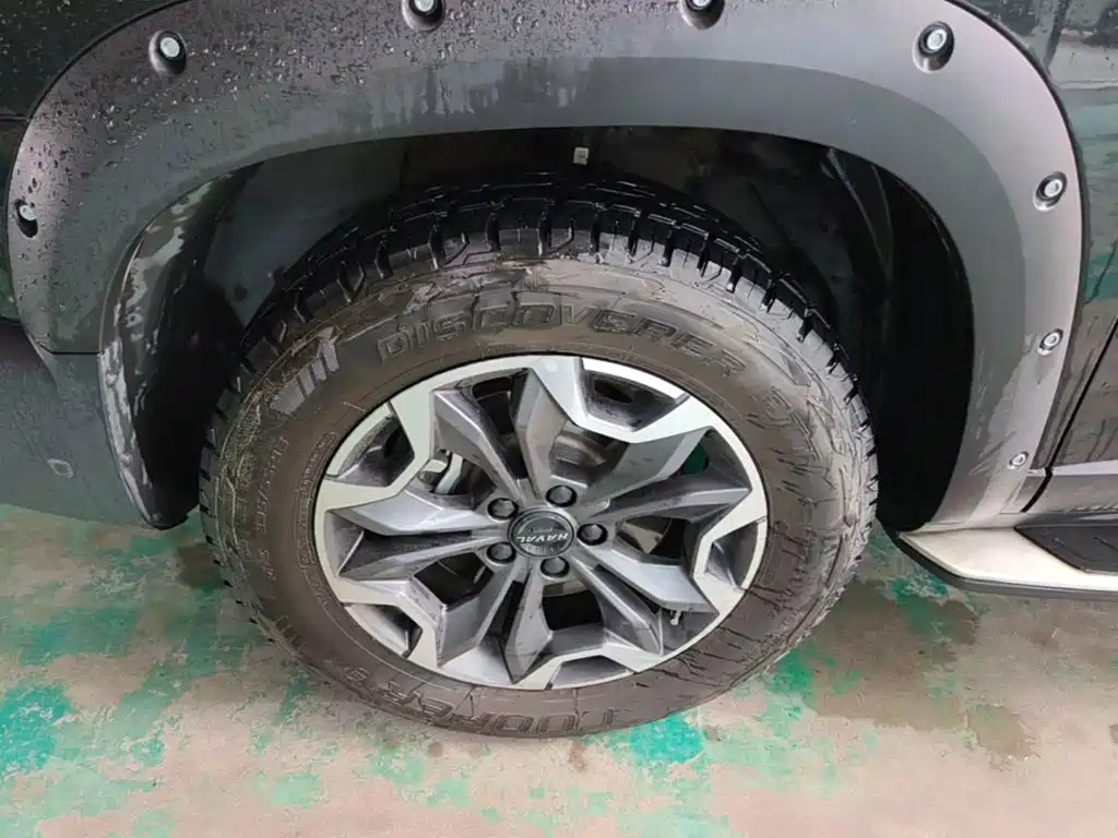 Haval Big Dog — миниатюра 23