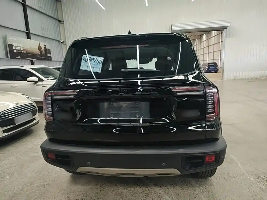 Haval Big Dog — миниатюра 6
