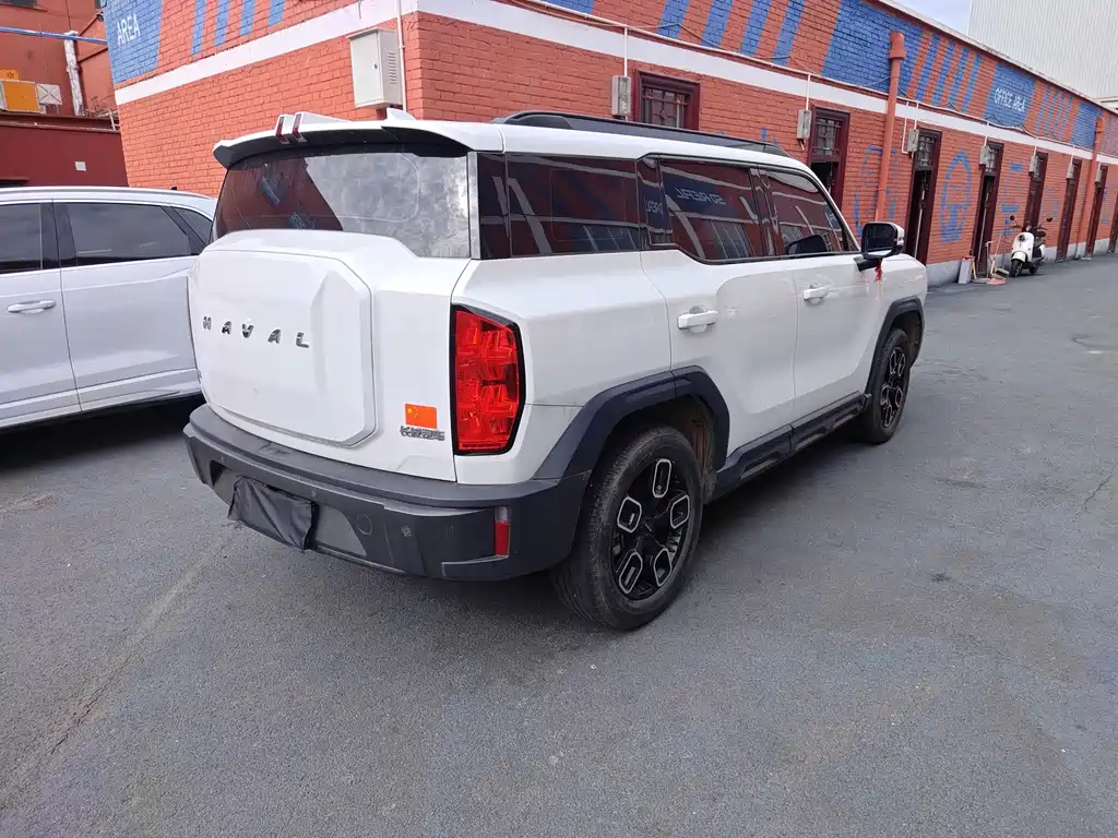 Haval Cool Dog — миниатюра 9