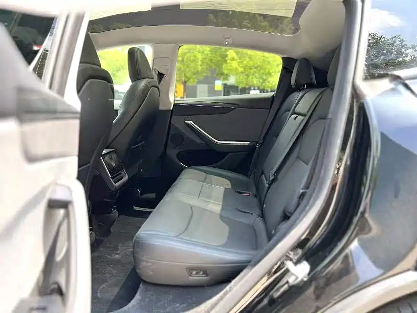 Tesla Model Y — миниатюра 5