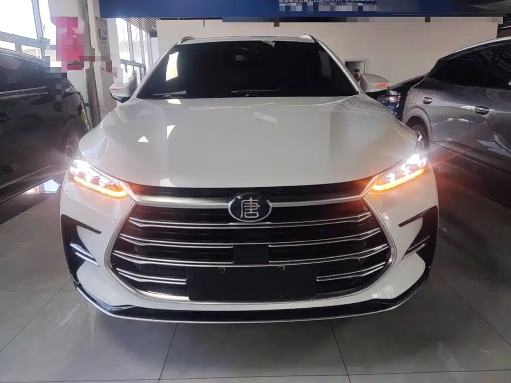BYD Tang New Energy — миниатюра 3
