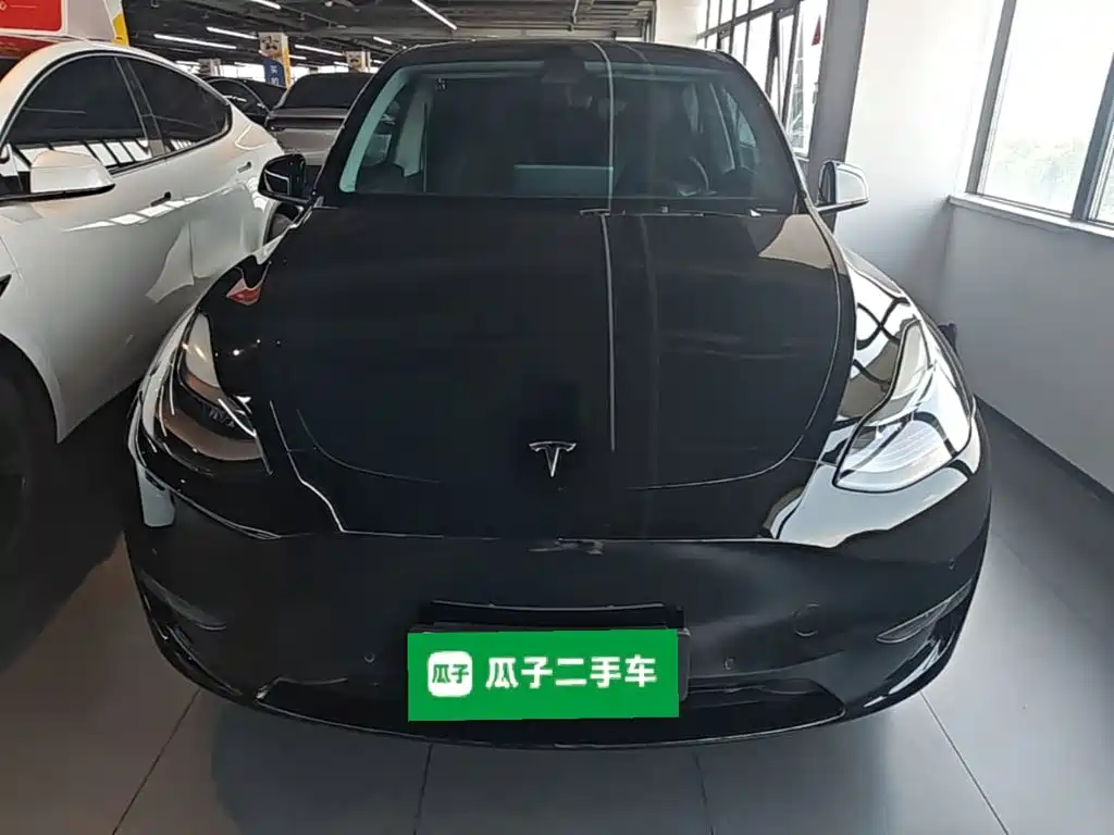 Tesla Model Y — миниатюра 3