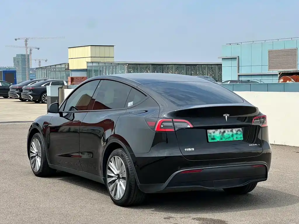 Tesla Model Y — миниатюра 2