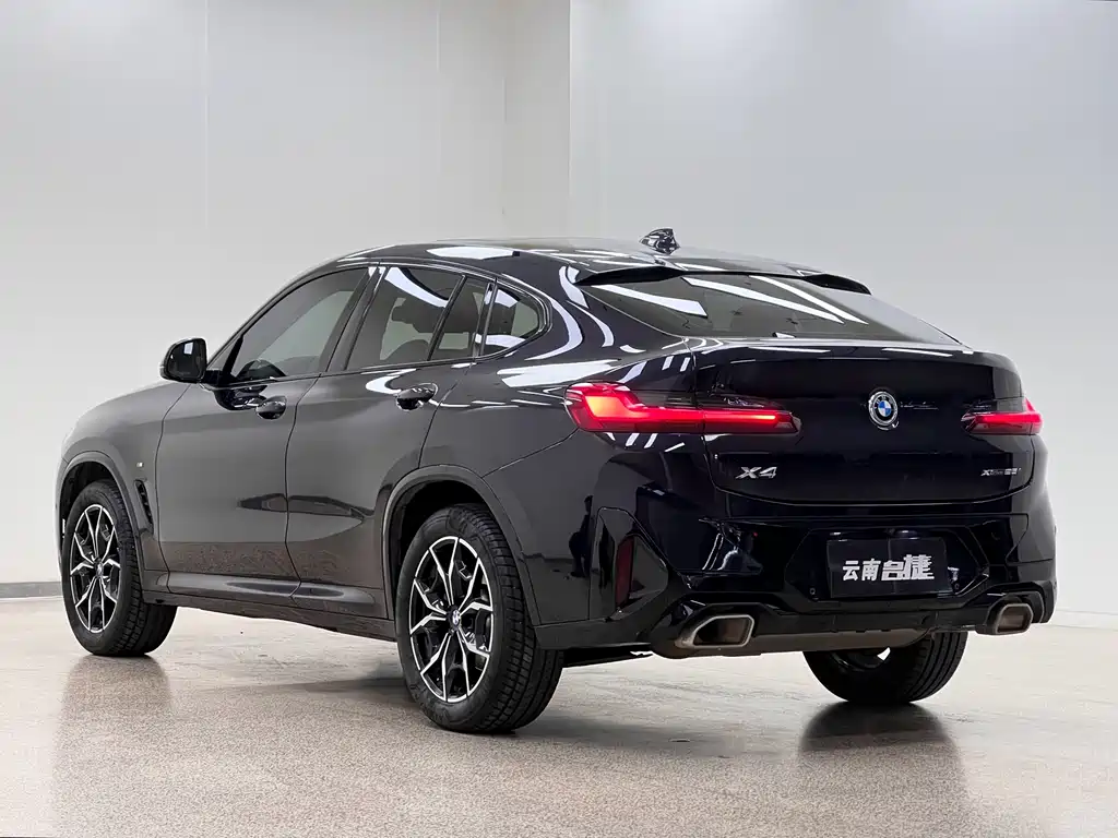 BMW X4 — миниатюра 5