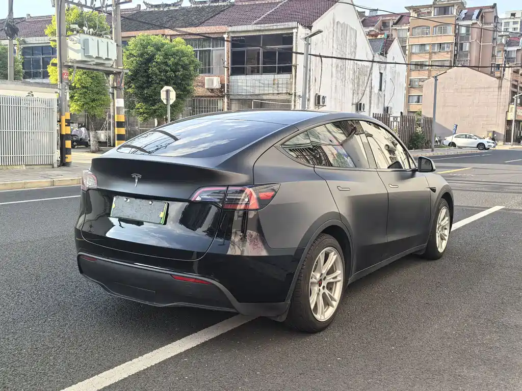 Tesla Model Y — миниатюра 10