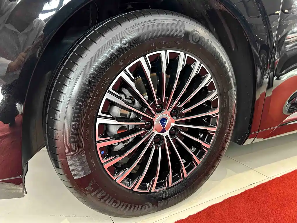 Denza Denza D9 — миниатюра 4
