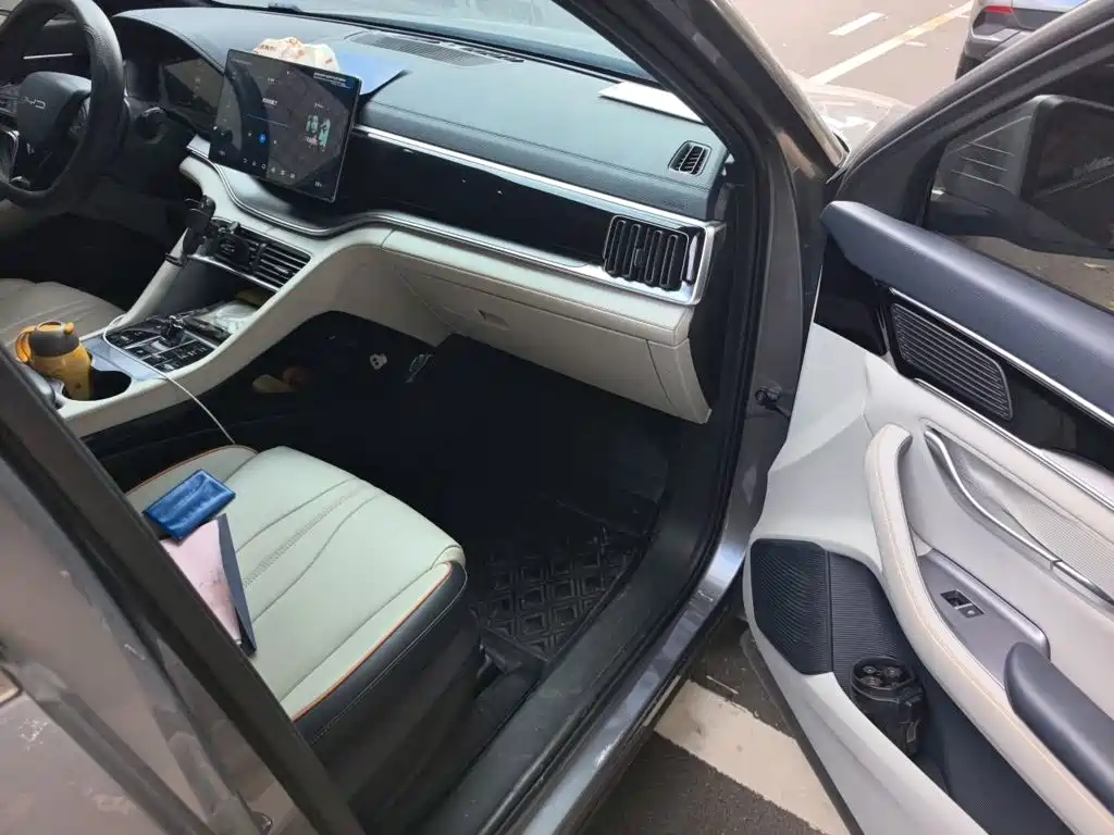 BYD PLUS New Energy — миниатюра 12