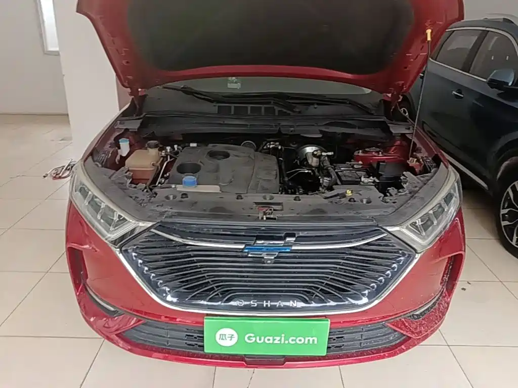 Oshan Oushang X7 — миниатюра 20
