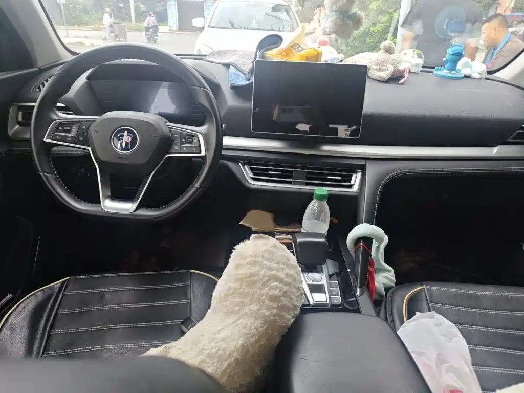 BYD Pro — миниатюра 13