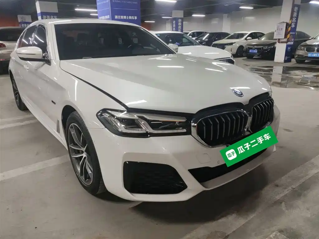 BMW  5 SERIES NEW ENERGY