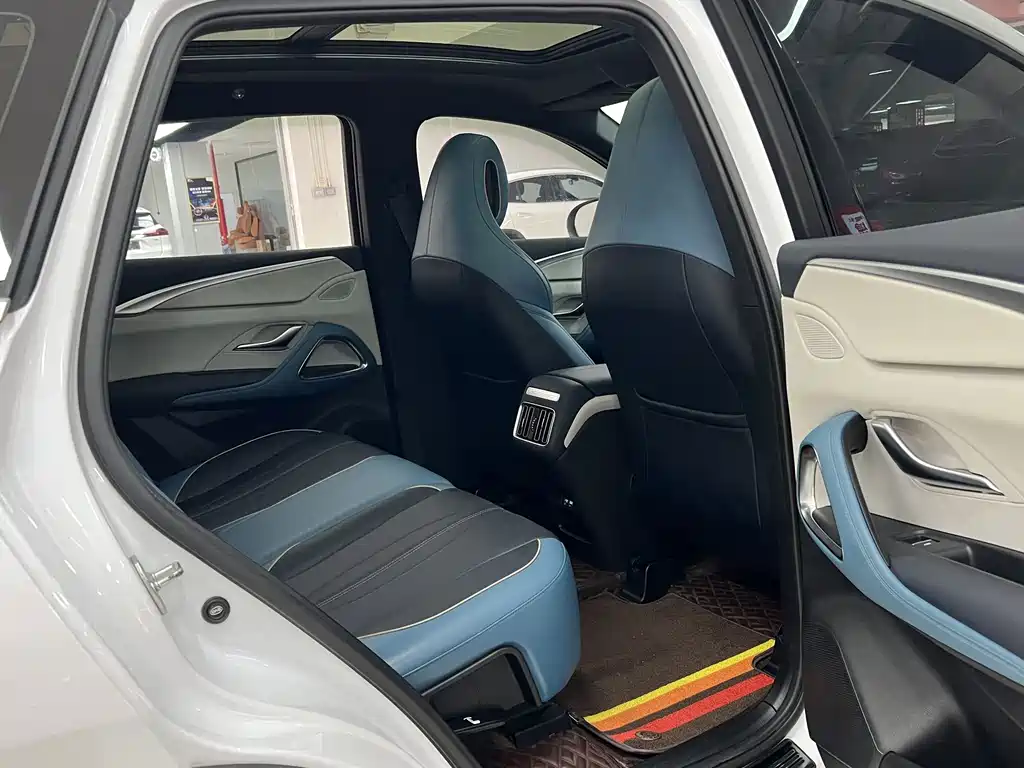 BYD Pro — миниатюра 11