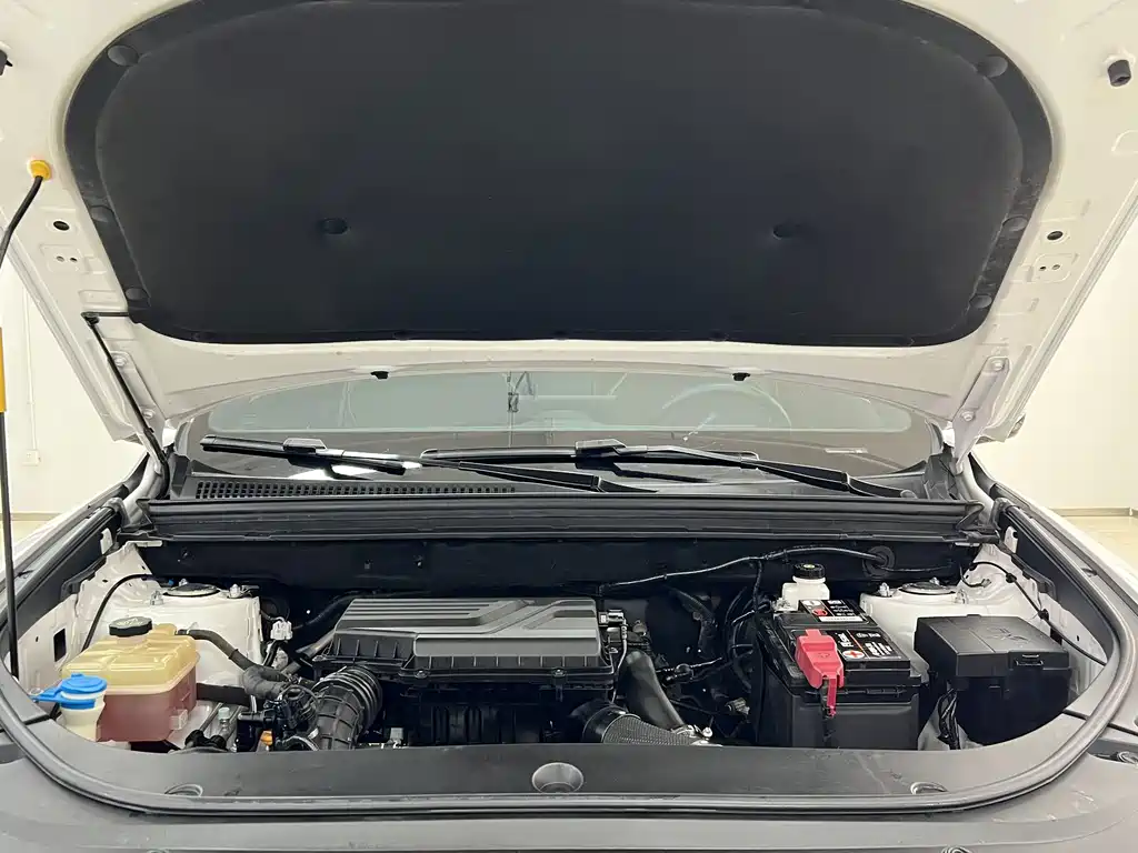 BYD Pro — миниатюра 17