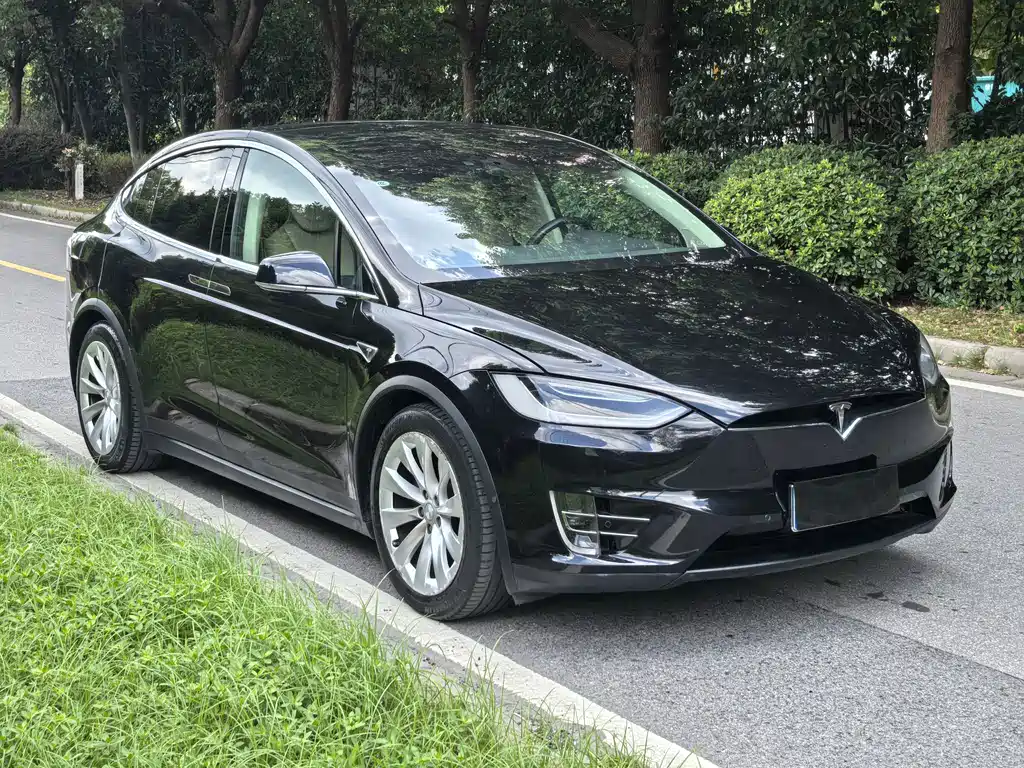 Tesla Model X — миниатюра 3