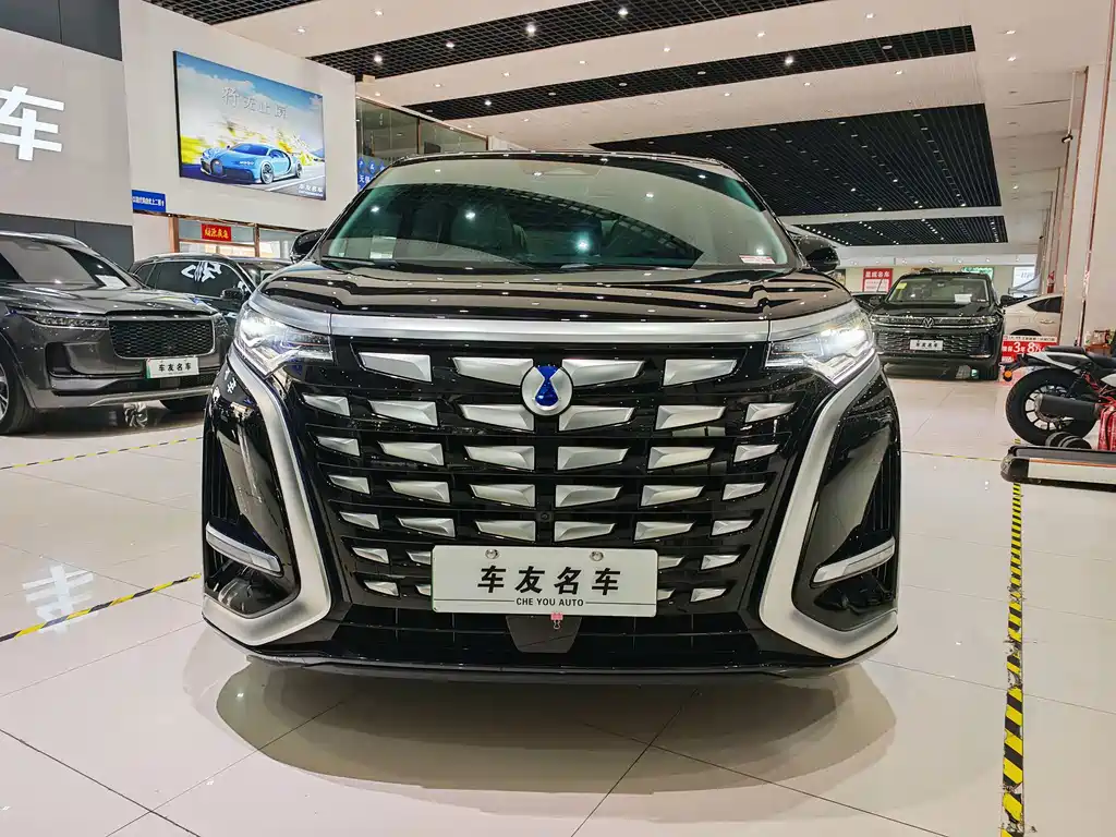 Denza Denza D9 — миниатюра 3