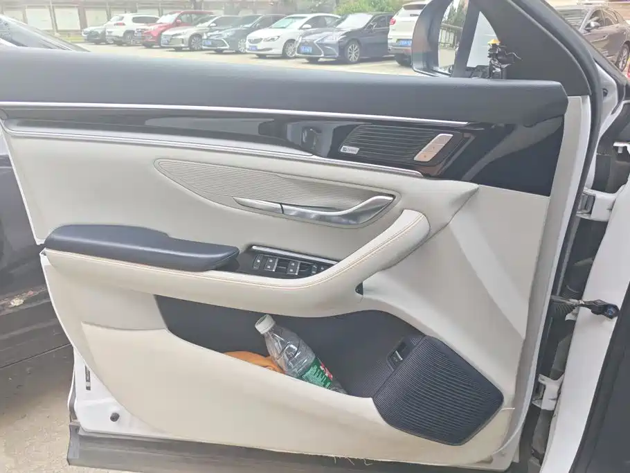 BYD PLUS New Energy — миниатюра 7