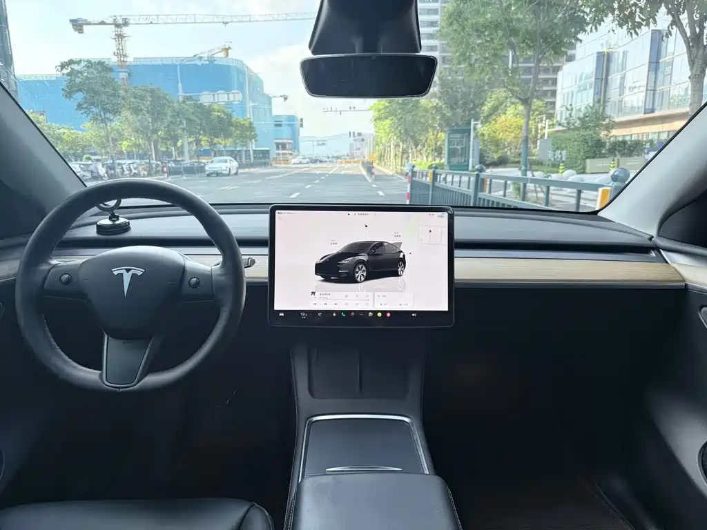 Tesla Model Y — миниатюра 7