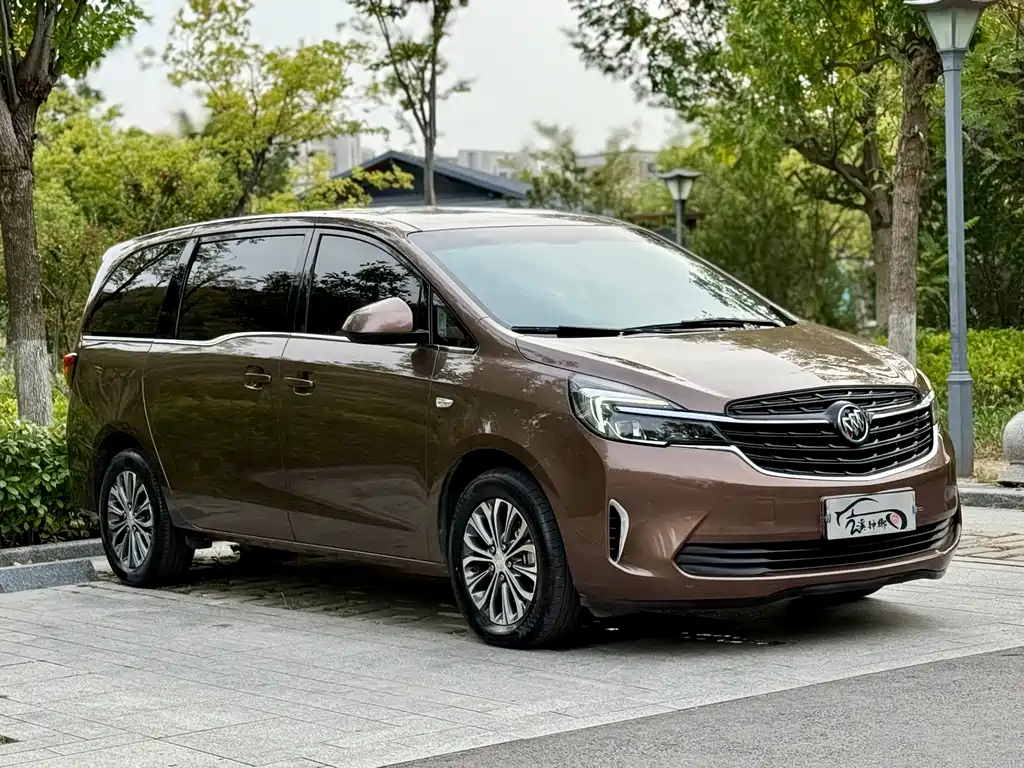 Buick GL8 — миниатюра 2