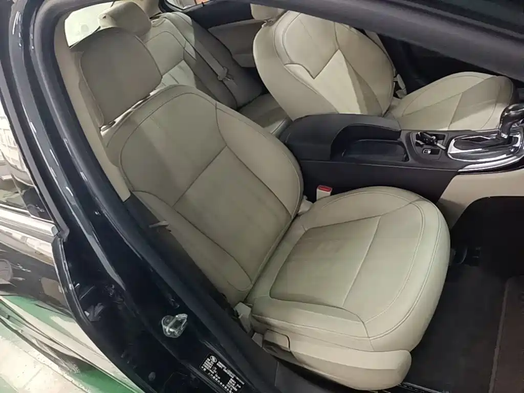 Buick Regal — миниатюра 25