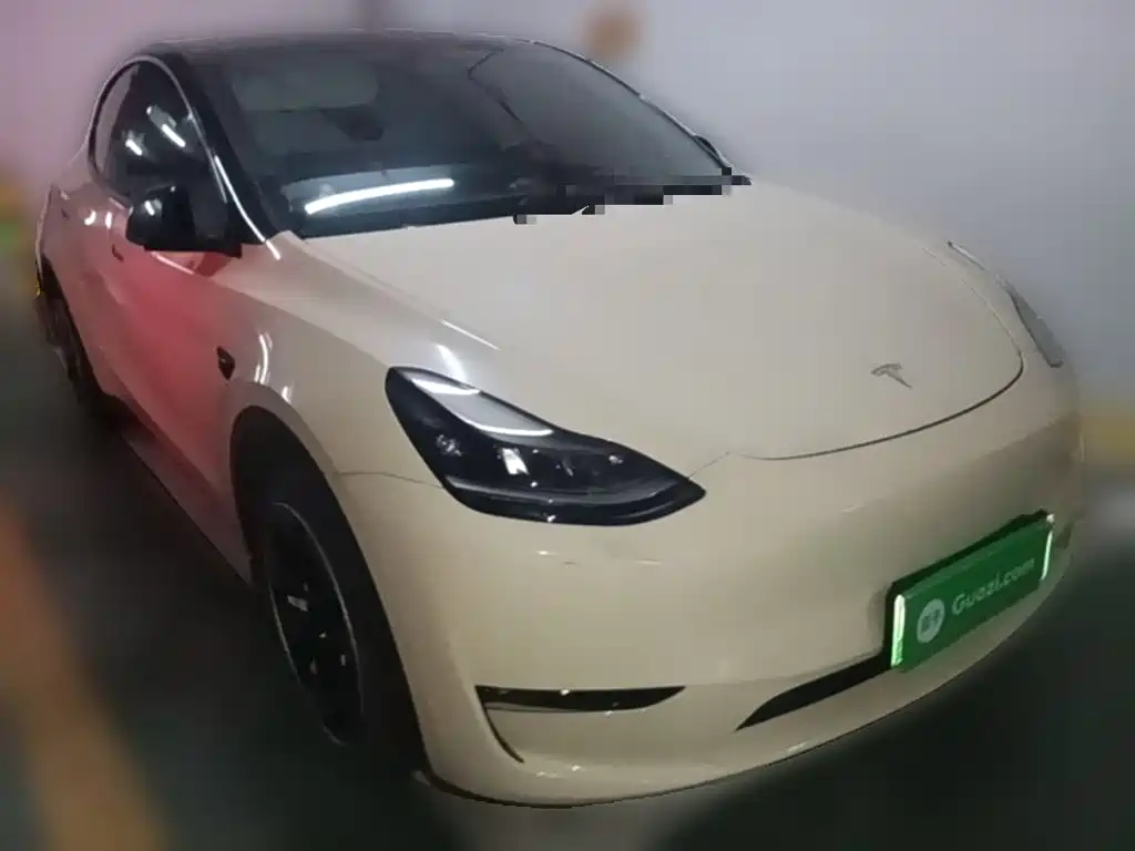 Tesla Model Y — миниатюра 24