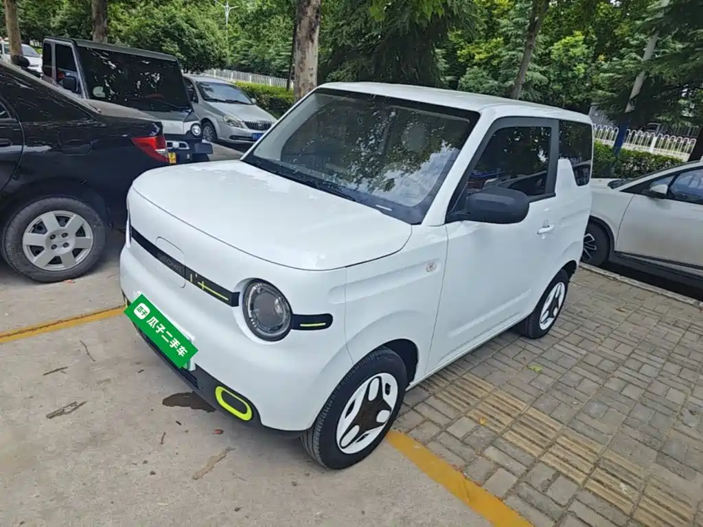 Galaxy Panda