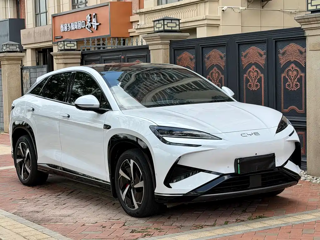 BYD Sealion 07 EV — миниатюра 3