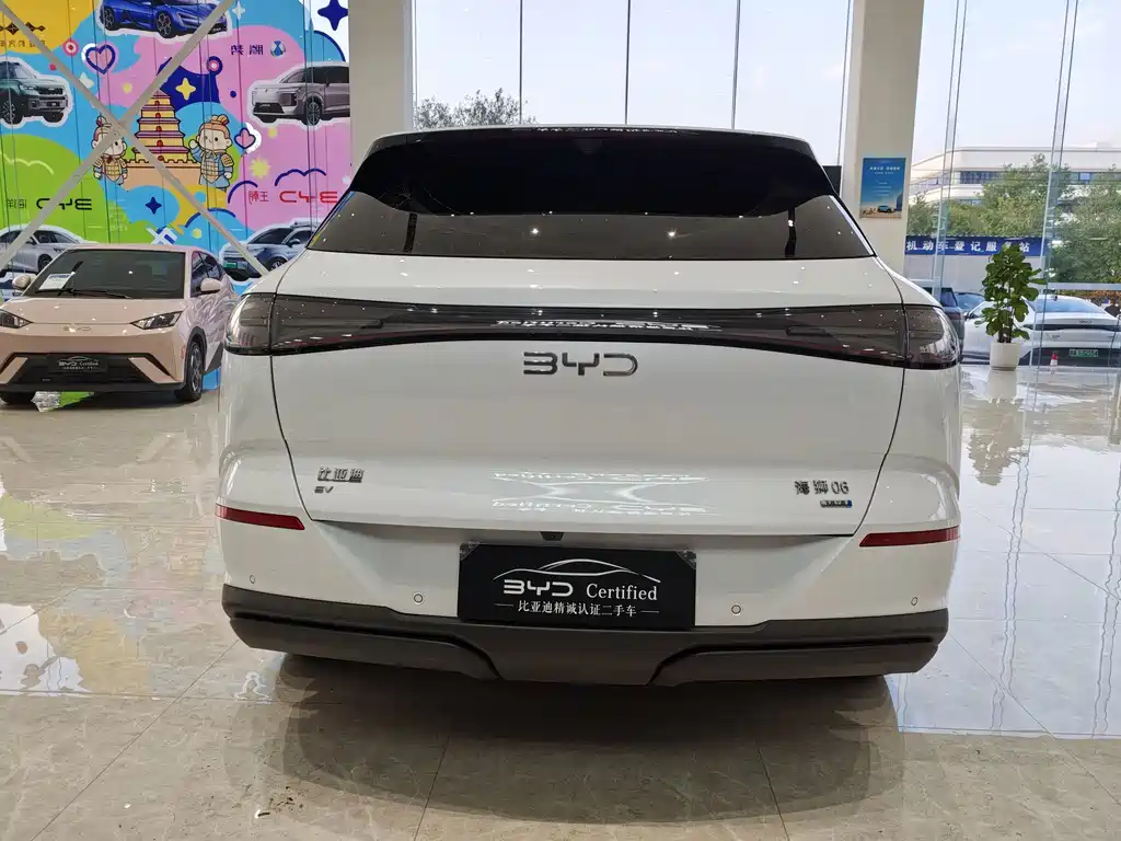 BYD Sealion 06 — миниатюра 6