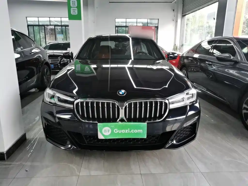 BMW 5 Series — миниатюра 3