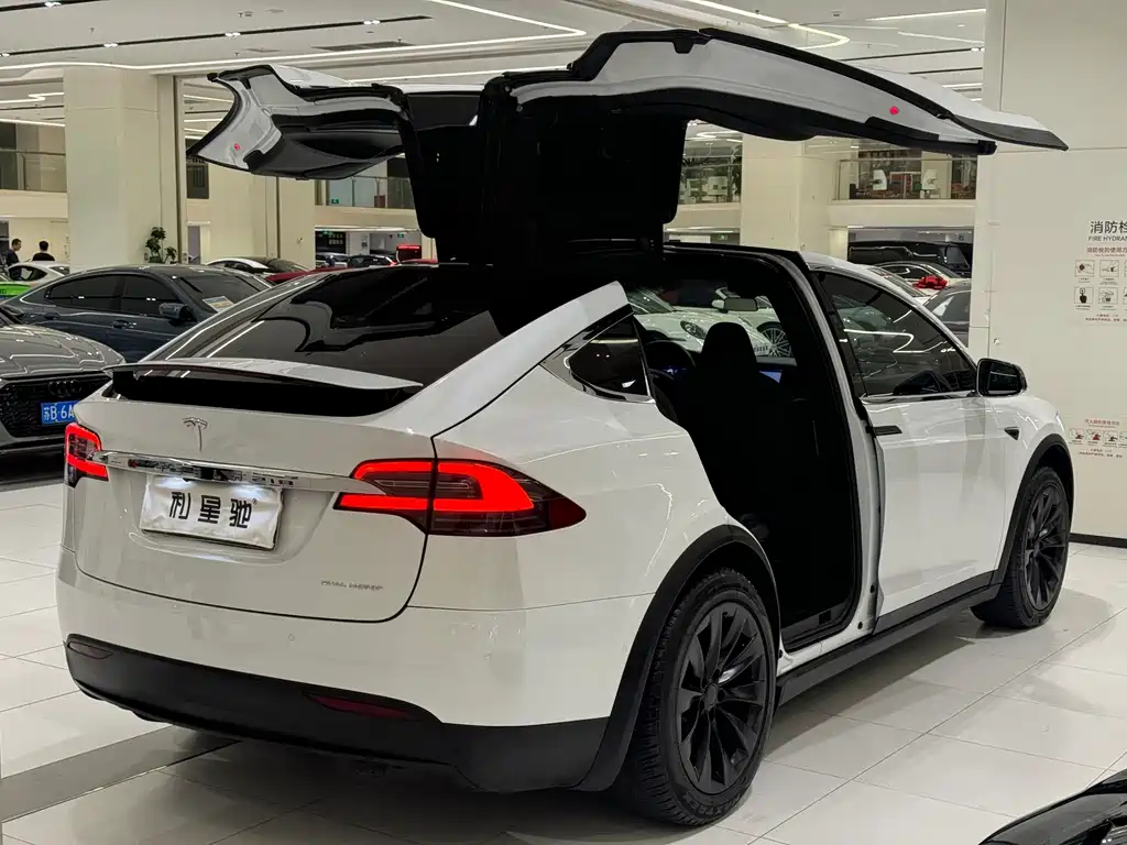Tesla Model X — миниатюра 5