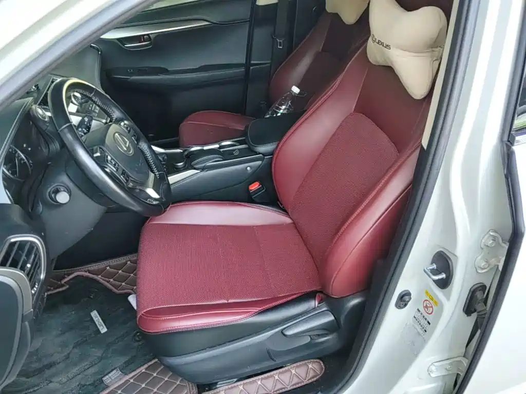 Lexus NX — миниатюра 15