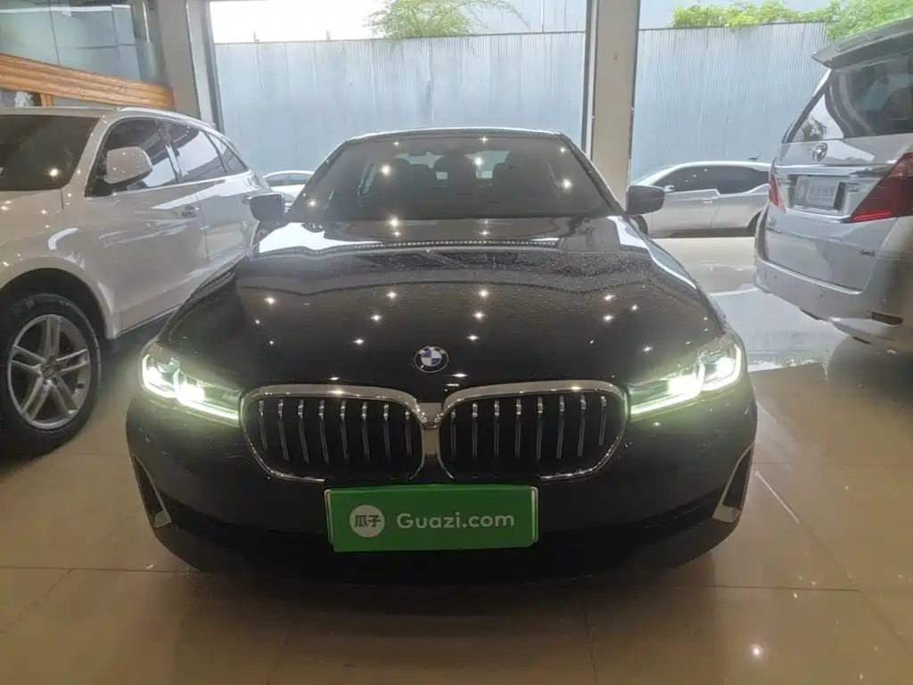 BMW 5 Series New Energy — миниатюра 3