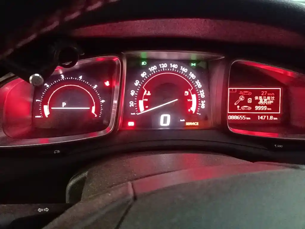 DS DS 4S — миниатюра 16