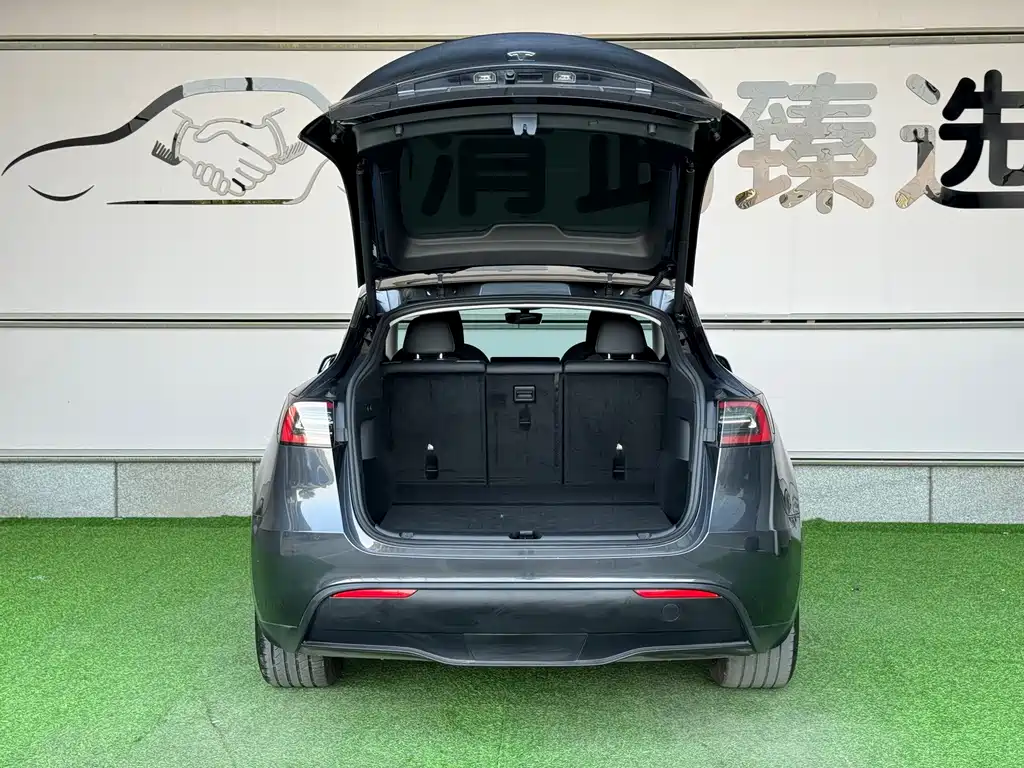 Tesla Model Y — миниатюра 4