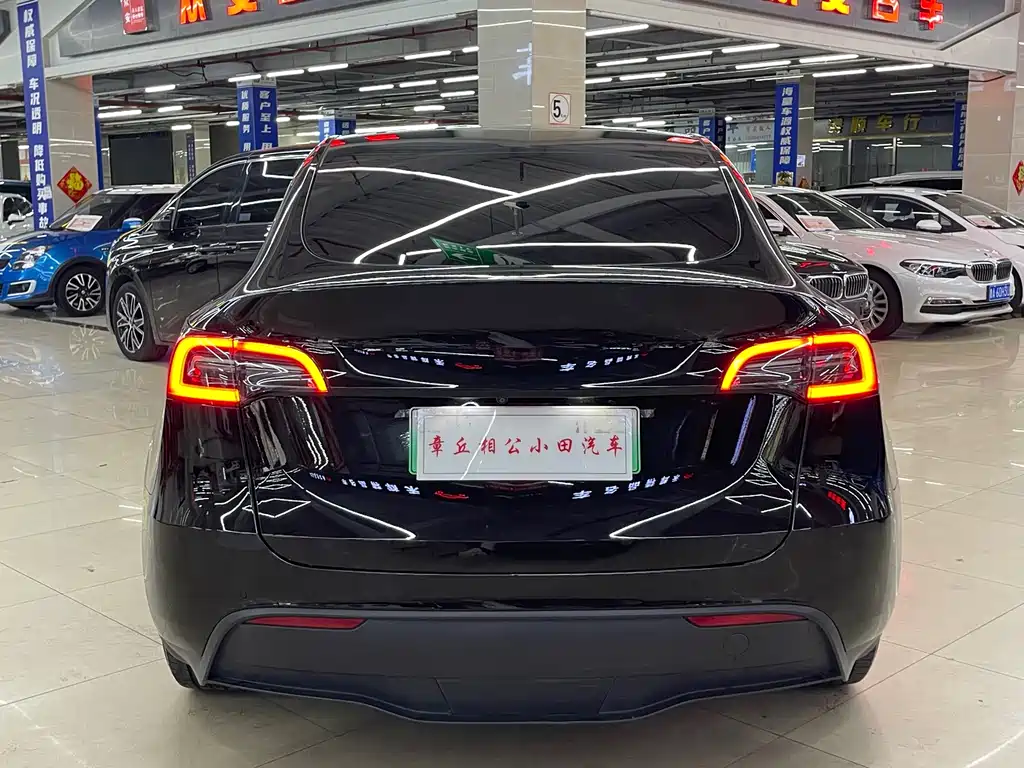 Tesla Model Y — миниатюра 6