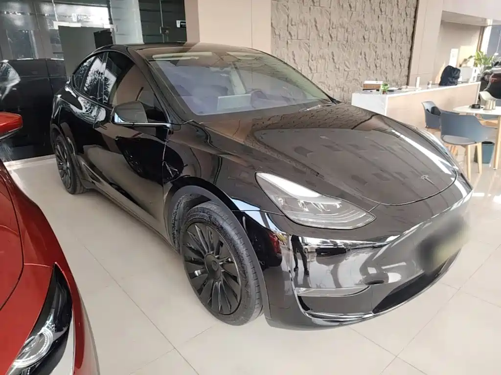 Tesla Model Y — миниатюра 4