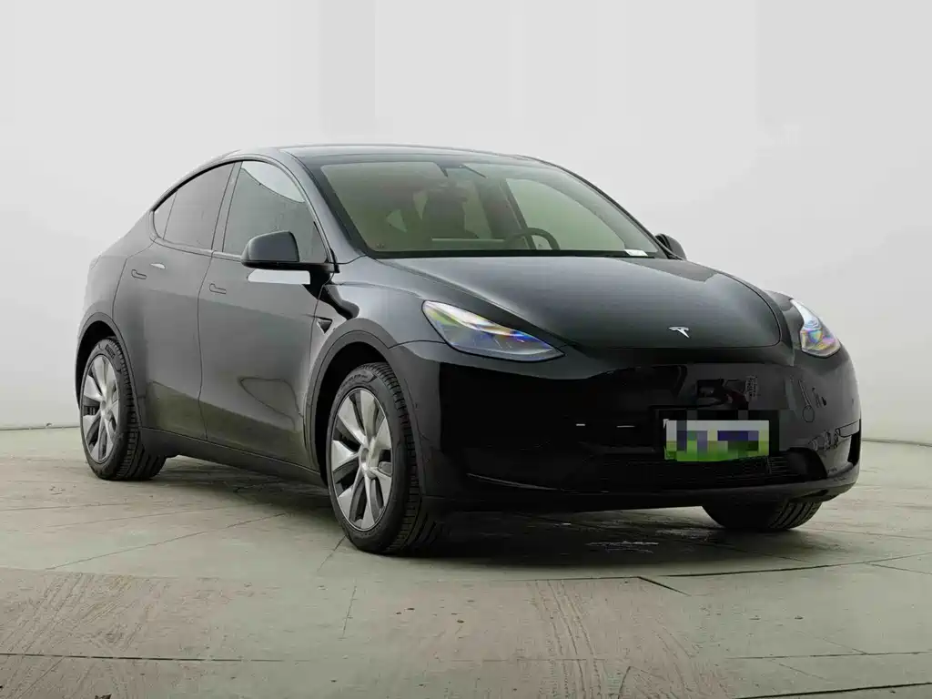 Tesla Model Y — миниатюра 3