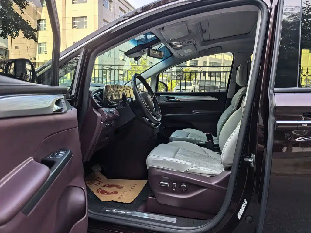 Buick GL8 2022 Avenir мест
