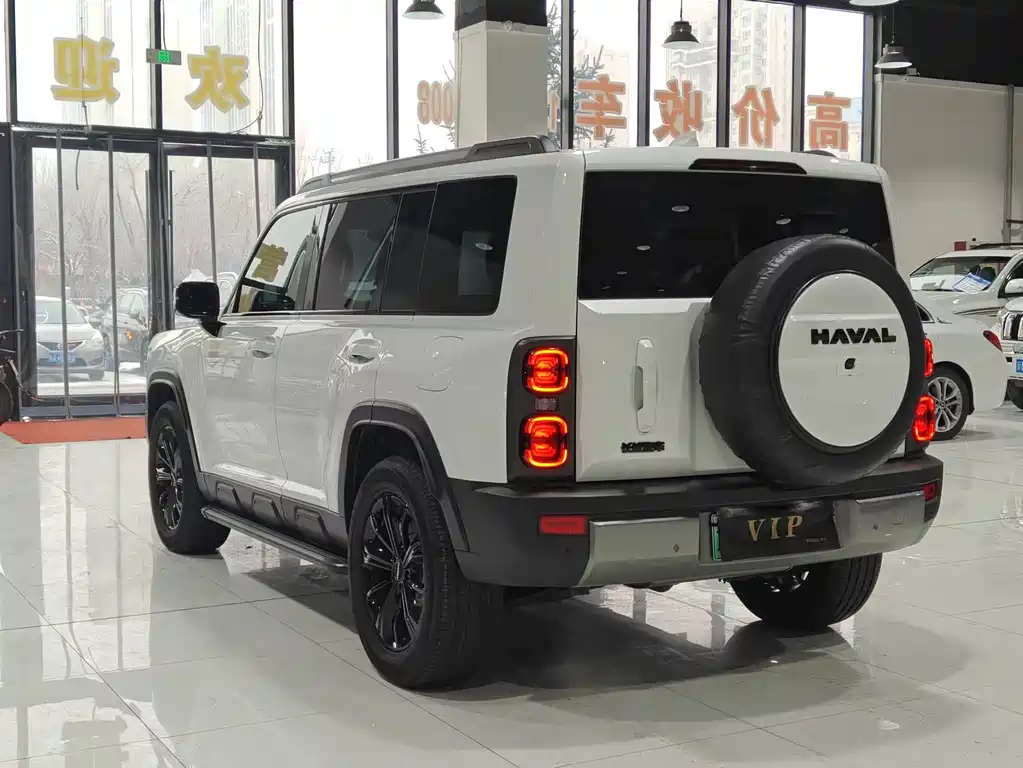 HAVAL RAPTORS NEW ENERGY