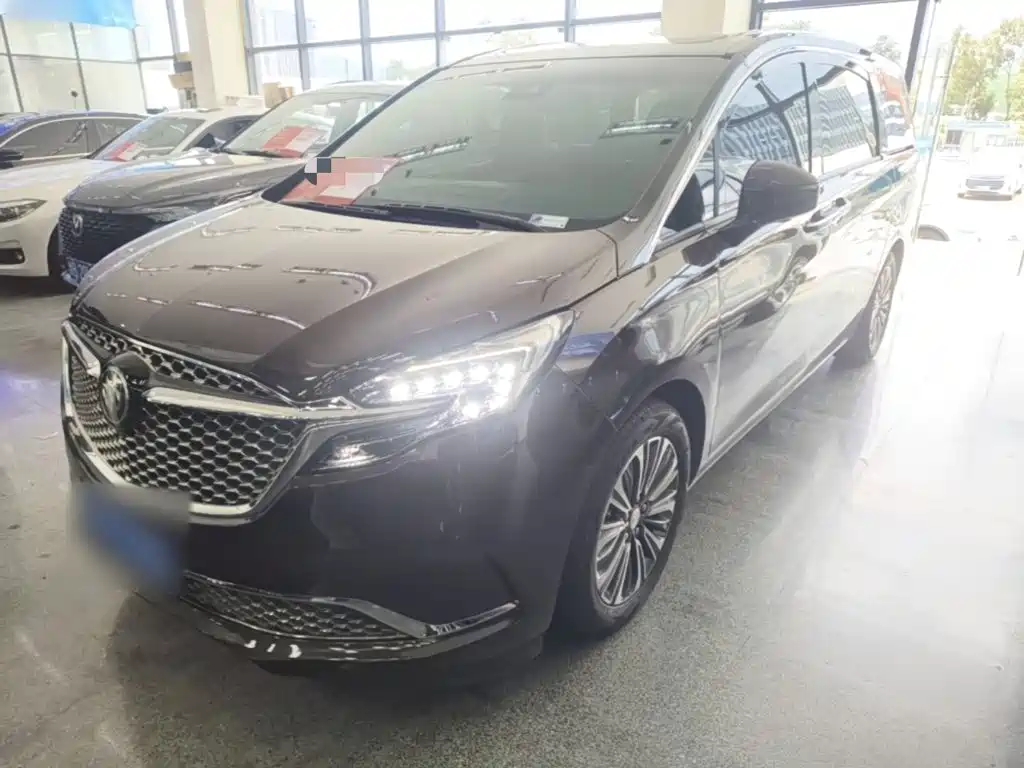 Buick GL8 — миниатюра 2