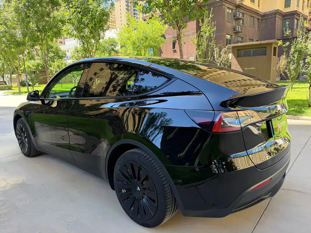 Tesla Model Y — миниатюра 10