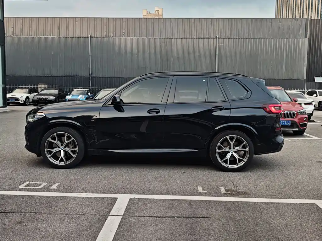 BMW X5 New Energy (Import) — миниатюра 8