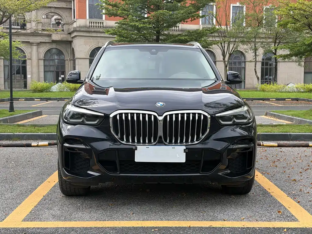 BMW X5 2022 xDrive 30Li M Sport
