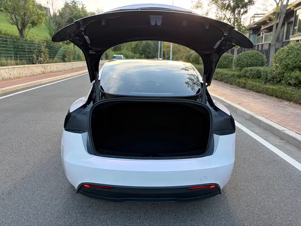 Tesla Model 3 — миниатюра 16