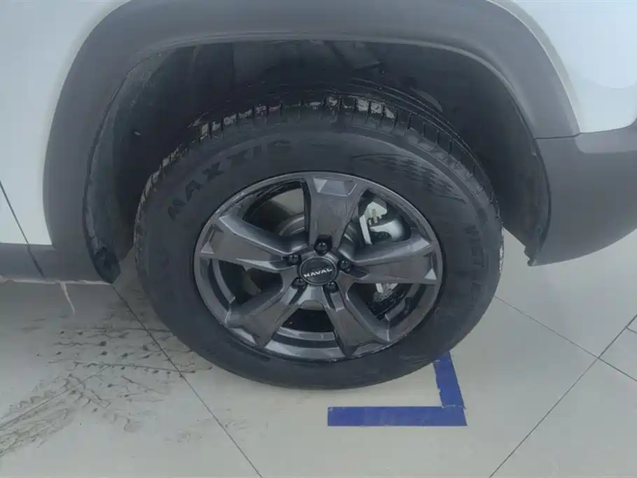 HAVAL RAPTORS NEW ENERGY