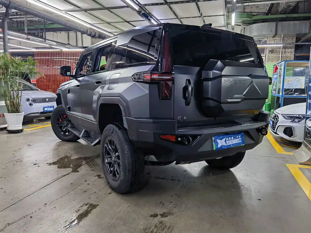 Mengshi Mengshi 917 — миниатюра 4