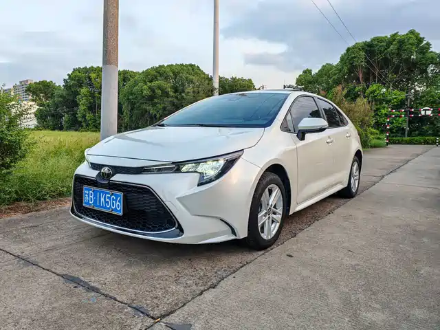 TOYOTA LEI LING 2019