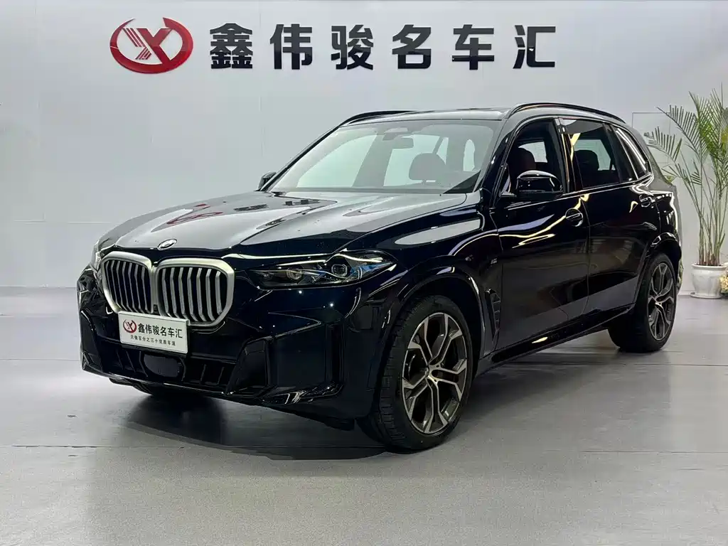 BMW X5 — миниатюра 2